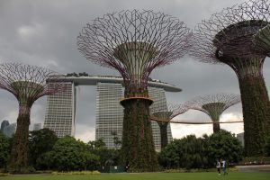 Singapore 572